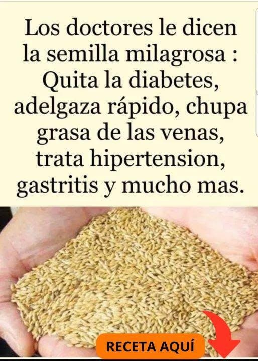 🌱 ¿Por qué esta “semilla milagrosa” puede transformar tu salud? Un análisis basado en ciencia y tradición