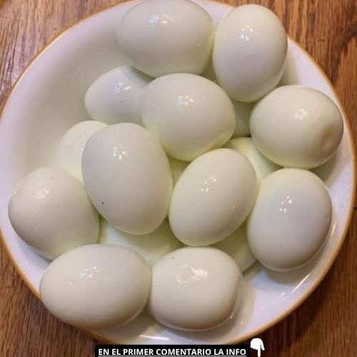 🍳 Los sorprendentes beneficios de consumir huevo cocido a diario: lo que la ciencia confirma sobre este alimento subestimado