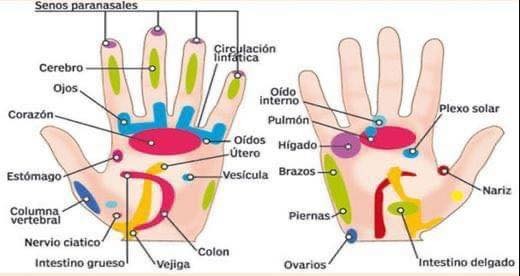 🙌 ¿Qué es realmente el Jin Shin Jyutsu (la “reflexología de los dedos”): cómo tocar tus manos puede sanar tu cuerpo